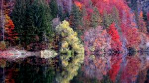 Majda Debeljak_ZRCALCE, ZRCALCE POVEJ…